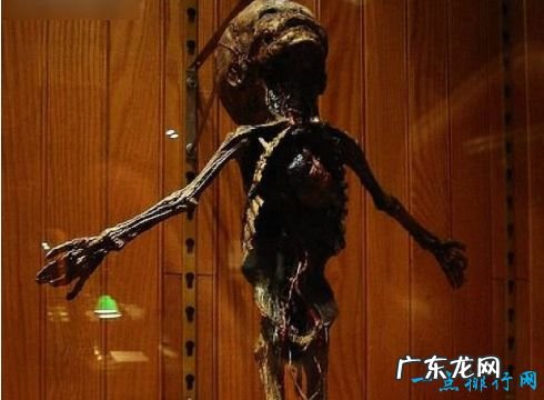 全球十大惊悚地点 费城马特博物馆尸横遍野