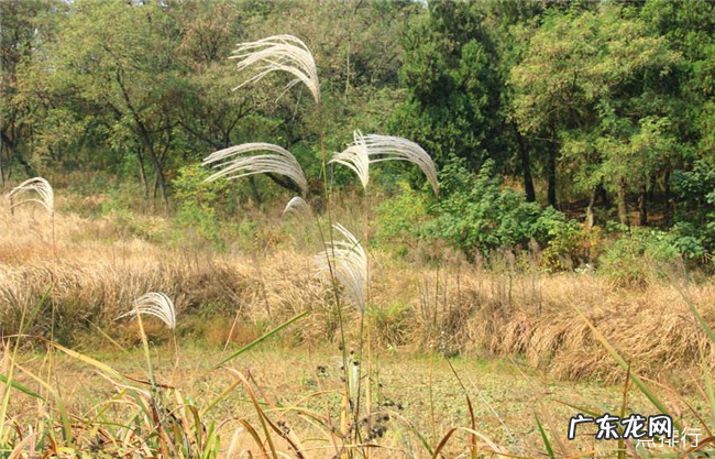 蚌埠十大旅游景点排名 蚌埠值得一游景点推荐