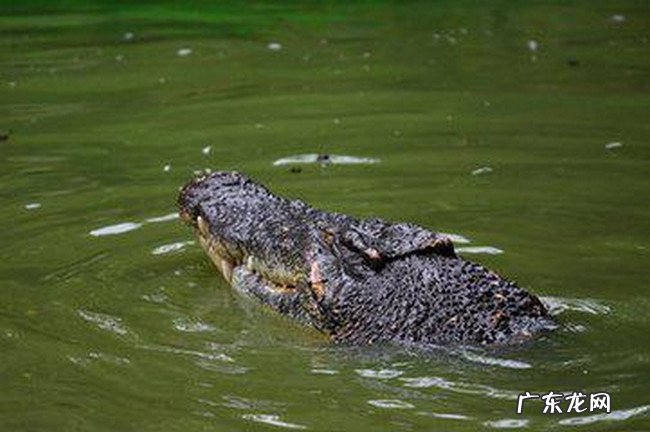 海南有什么好玩的地方去了就不想回来的度假天堂
