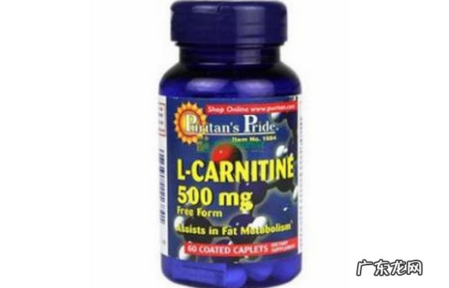 左旋肉碱哪个牌子好 最安全有效的左旋肉碱品牌推荐