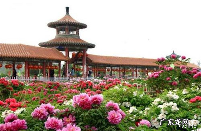 菏泽十大旅游景点大全 菏泽一日游去哪里最好