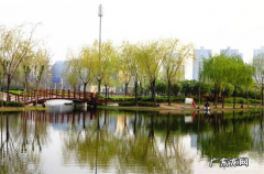 菏泽十大旅游景点大全 菏泽一日游去哪里最好