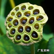 十大恐惧症排行榜 以及恐惧症的症状表现