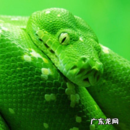 十大恐惧症排行榜 以及恐惧症的症状表现