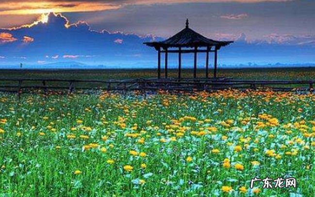 济南十佳旅行社 济南比较好的旅行社有哪些
