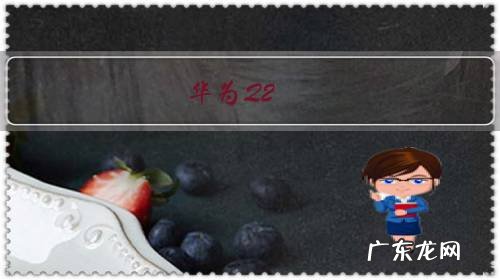 华为Q2 Pro电力线的组网是一种怎样的体验?