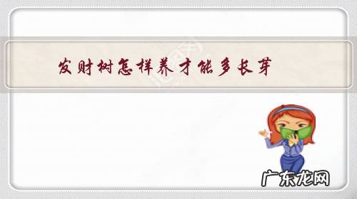 发财树怎么可以长侧芽 发财树怎样养才能多长芽?