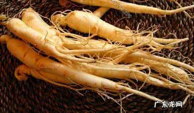 中国十大珍贵药材 第十种很少有人知道