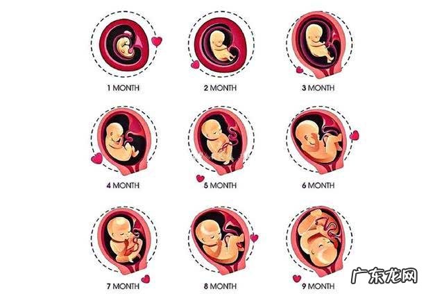 孕一个月,不知道怀孕吃了孕妇禁用药,该怎么办