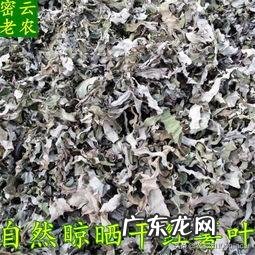 红薯叶要用开水煮再晒干吗