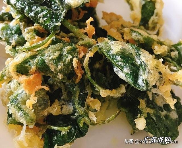 红薯叶要用开水煮再晒干吗