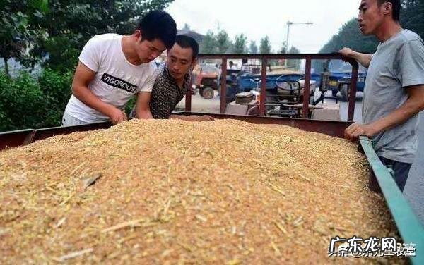 盐 安幕茵离子液体技术在市场上稀缺吗