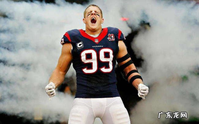 nfl最强壮十大球员 第四名克里斯·约翰逊不但强壮速度还快