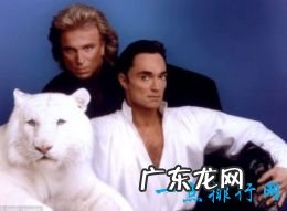 世界十大魔术师排名 最不可思议的魔术