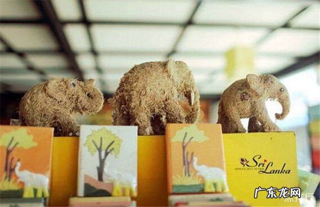 东南亚十大特产 东南亚特产有些什么