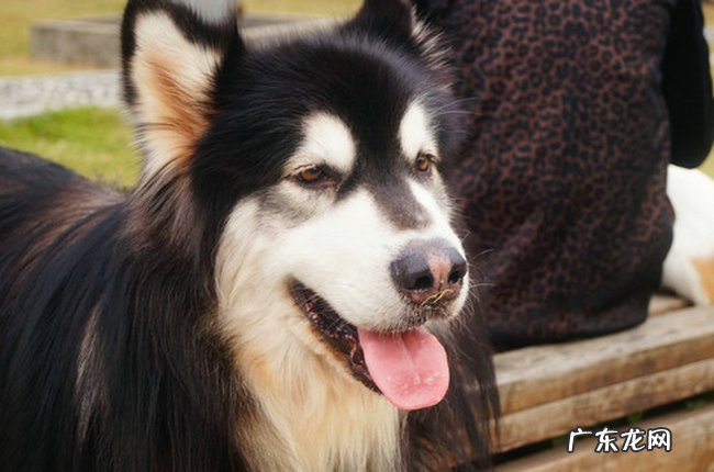 世界十大超自然事件 蓝可儿事件居然不是第一