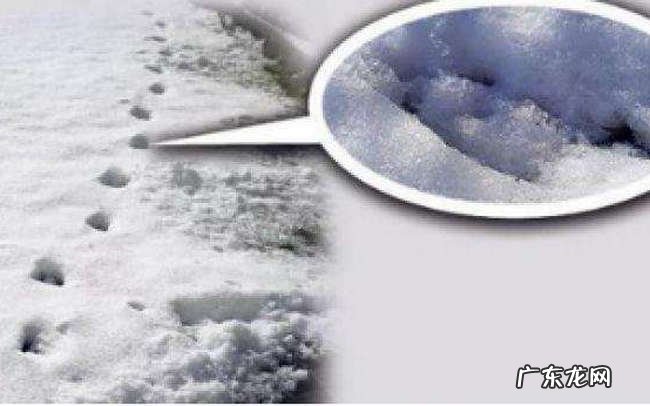 世界十大超自然事件 蓝可儿事件居然不是第一