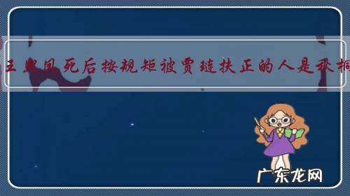 《红楼梦》中王熙凤死后按规矩被贾琏扶正的人是秋桐还是平儿?为什么?