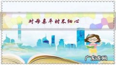 对母亲平时不细心，现在病重没有意识，我很自责，该怎么办？