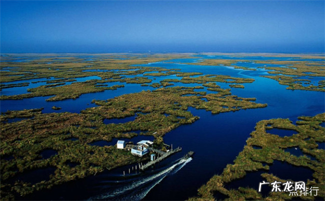 世界十大最长河流排名 全长6300公里的长江仅排第三