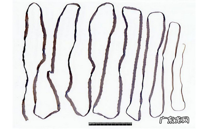 全球十大最恐怖的寄生虫 胆小勿入真的很渗人