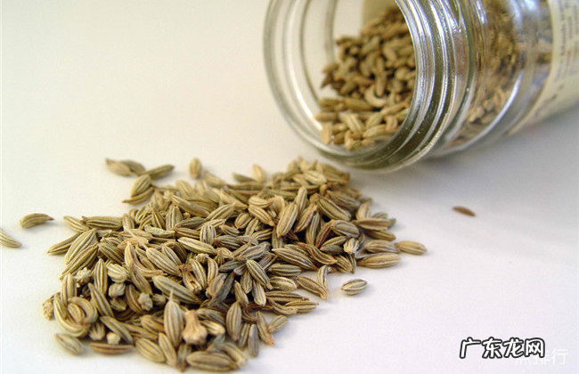 治疗胃疼的最好的十种方法 治疗胃疼小妙招