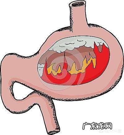 为什么乔布斯作为果食者仍然患癌去世了呢?