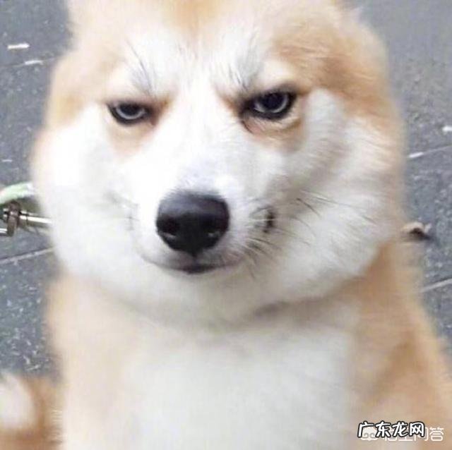 健身不忌口,能锻炼出肌肉吗