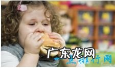 世界上最胖的10个国家排行 美国居然排第二