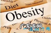 世界上最胖的10个国家排行 美国居然排第二