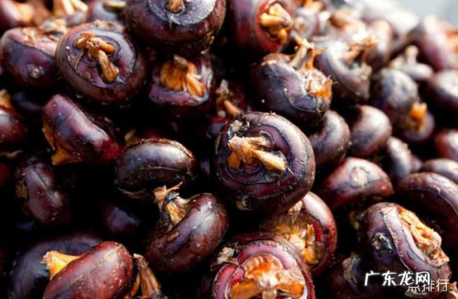 去火的食物有哪些 十大快速降火的食物和水果