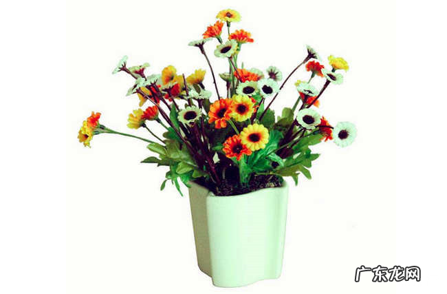 除甲醛十大品牌 什么牌子除甲醛效果最好