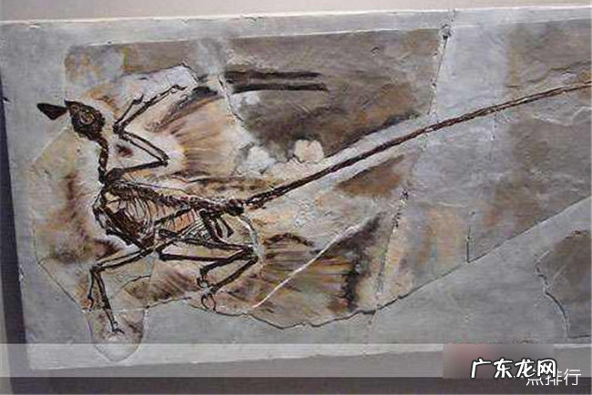 锦州十大旅游景点大全 锦州有什么好玩的地方