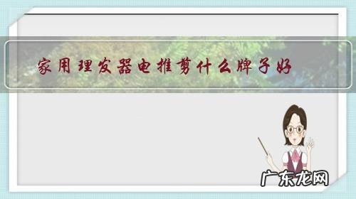 理发的电推子什么牌子的最好 家用理发器电推剪什么牌子好?