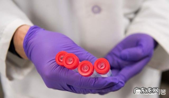 请问想去香港接种9价HPV疫苗需要办些什么？