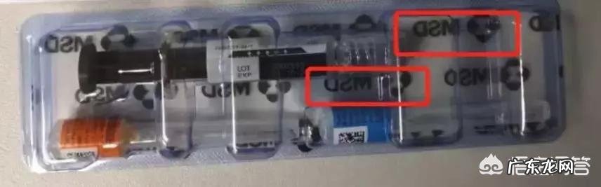 请问想去香港接种9价HPV疫苗需要办些什么？