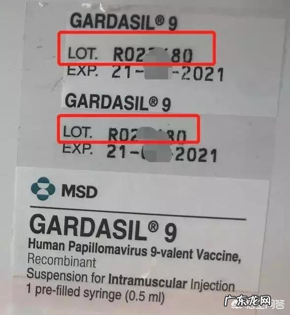 请问想去香港接种9价HPV疫苗需要办些什么？