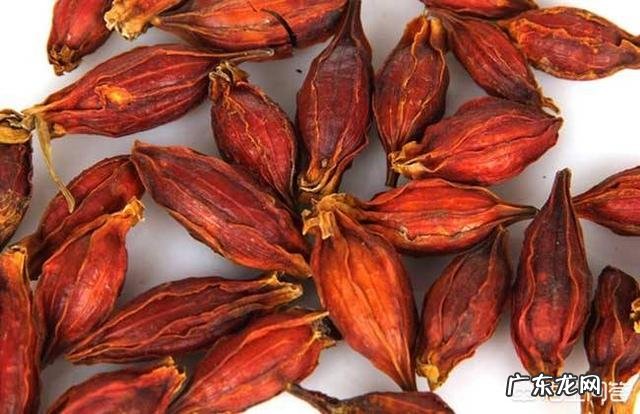 栀子有哪些形态特征和功效?