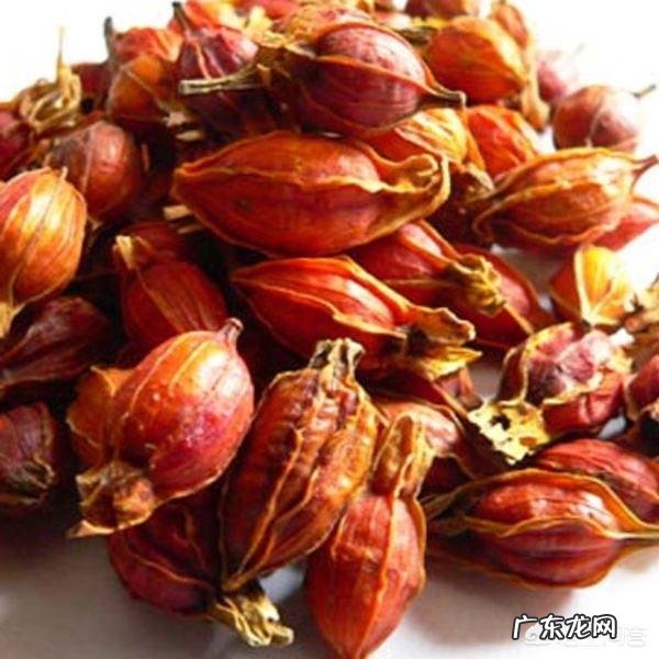 栀子有哪些形态特征和功效？