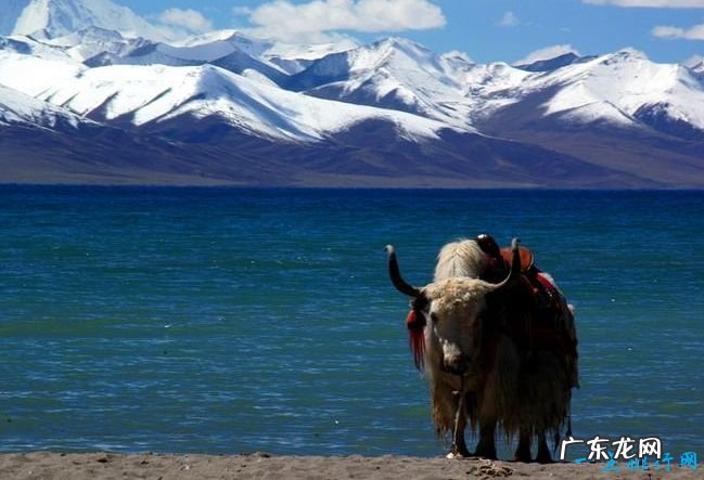 世界上最高的高原 世界屋脊青藏高原