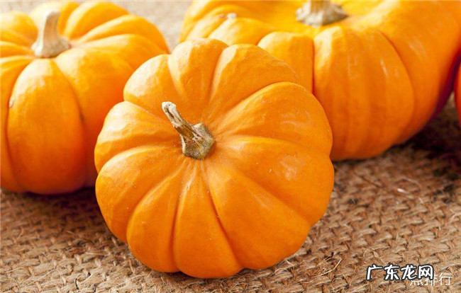 肠胃不好吃什么调理 调理肠胃最佳的十种食物排行