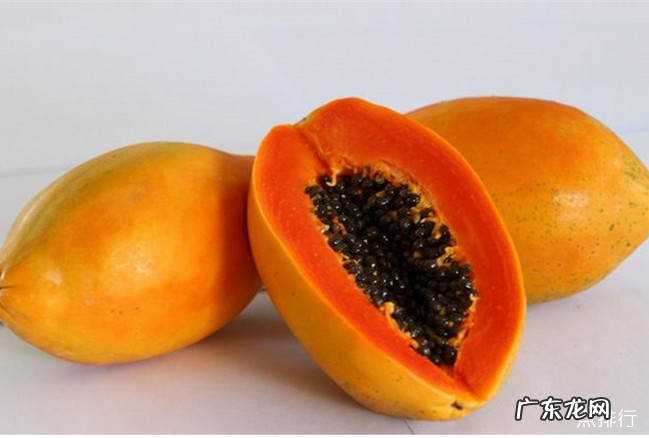 肠胃不好吃什么调理 调理肠胃最佳的十种食物排行