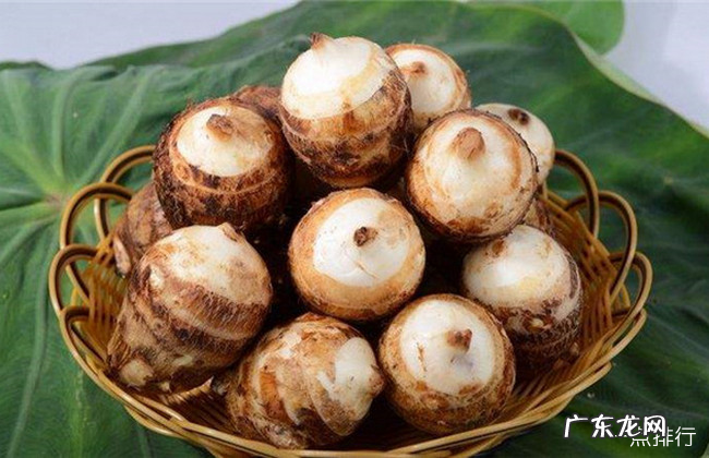 肠胃不好吃什么调理 调理肠胃最佳的十种食物排行