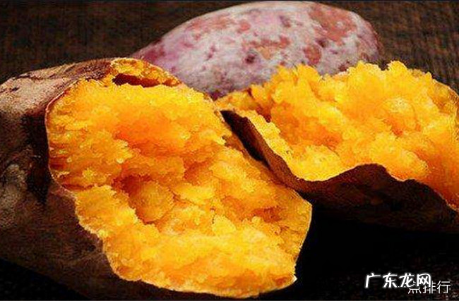 肠胃不好吃什么调理 调理肠胃最佳的十种食物排行