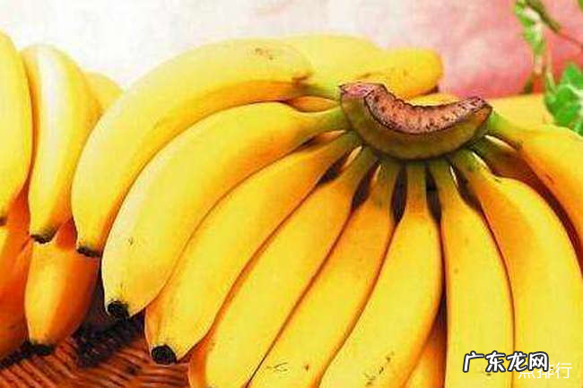 肠胃不好吃什么调理 调理肠胃最佳的十种食物排行