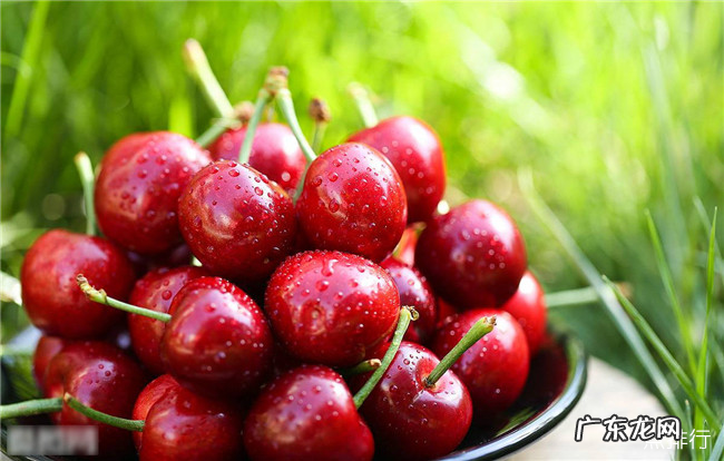 怀孕期间吃什么水果好 最适合孕妇吃的10种水果