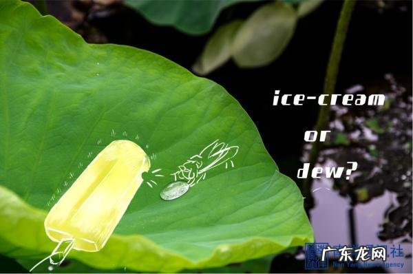 交大款“手作冰淇淋”!咬一口,是心动的味道