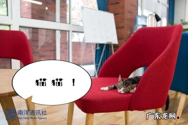 交大款“手作冰淇淋”!咬一口,是心动的味道