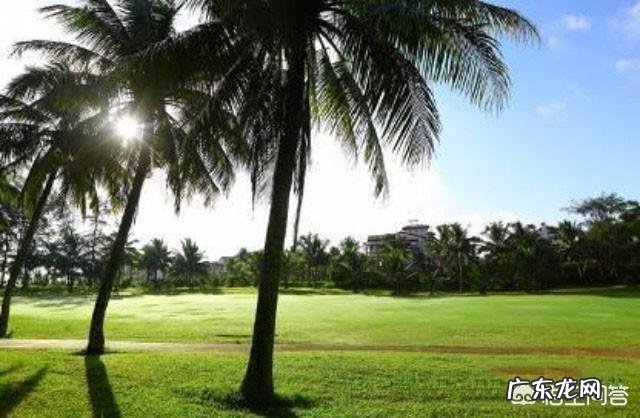 25岁事业编想辞职,自己创业开养生美容馆如何