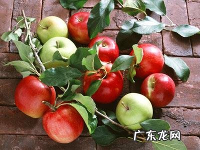 你们尝试过的最有效的减肥方法是什么